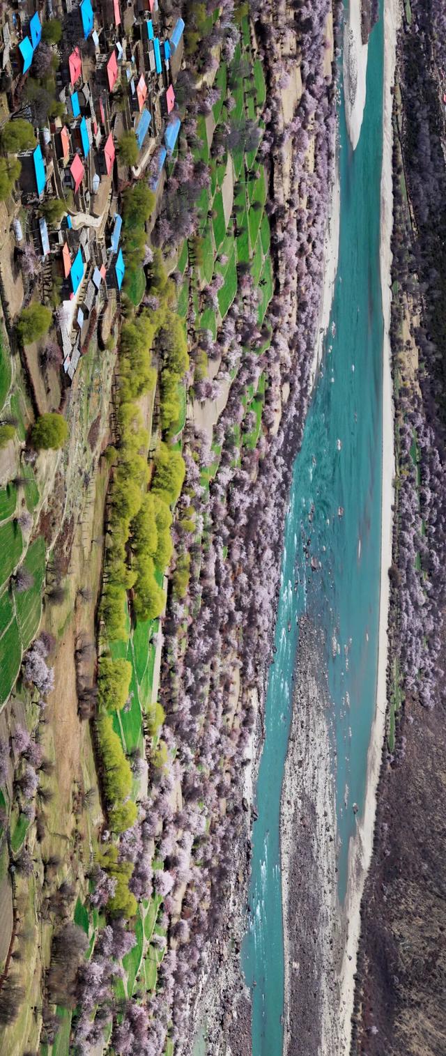 西藏最美公路！409公里串起雪山桃花湖泊