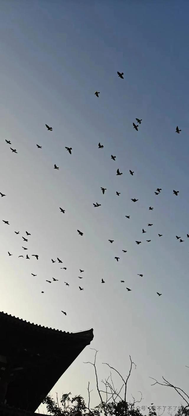 光山文殊寺,秋日的宁静与闲适