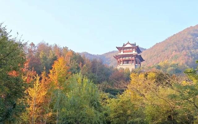 巨出片！观音湖「延迟版」秋景亮相