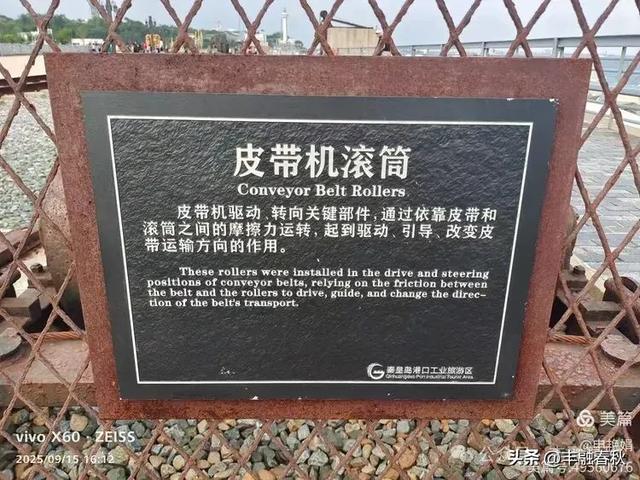漫步西港花园：在山海之间遇见旧时光｜申艳娟