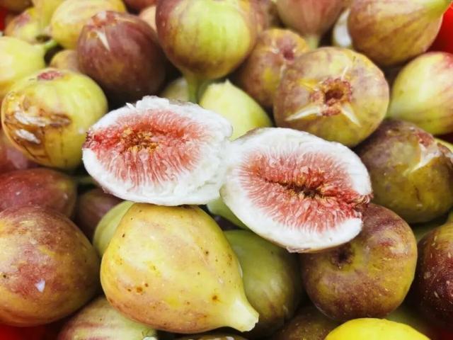 许昌周末漫游 | 把秋天装进篮子里：这份秋季采摘全攻略请收好！