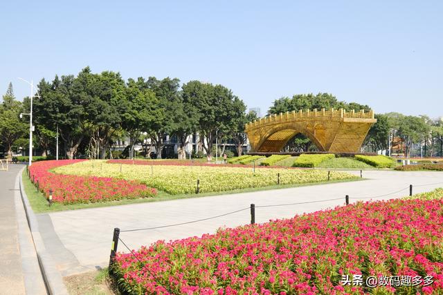 广州一年四季这景点都有花海，绝美赏景地
