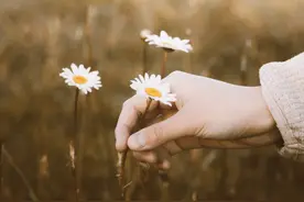 写给女人的婚姻案例：我远嫁当天，单亲爸爸在柴房悄悄落泪图片