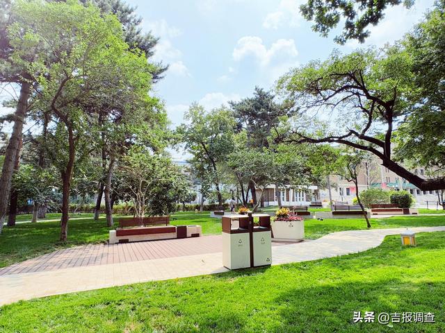 百年新民大街变身！13颗“绿色珍珠”让老街有了新颜值