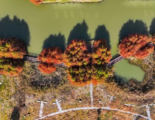 超出片！在这里一键解锁限定杉色