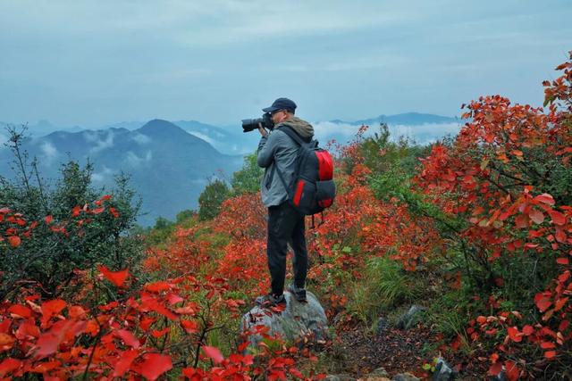 接下来的一个月，来汉中赏红叶就对了