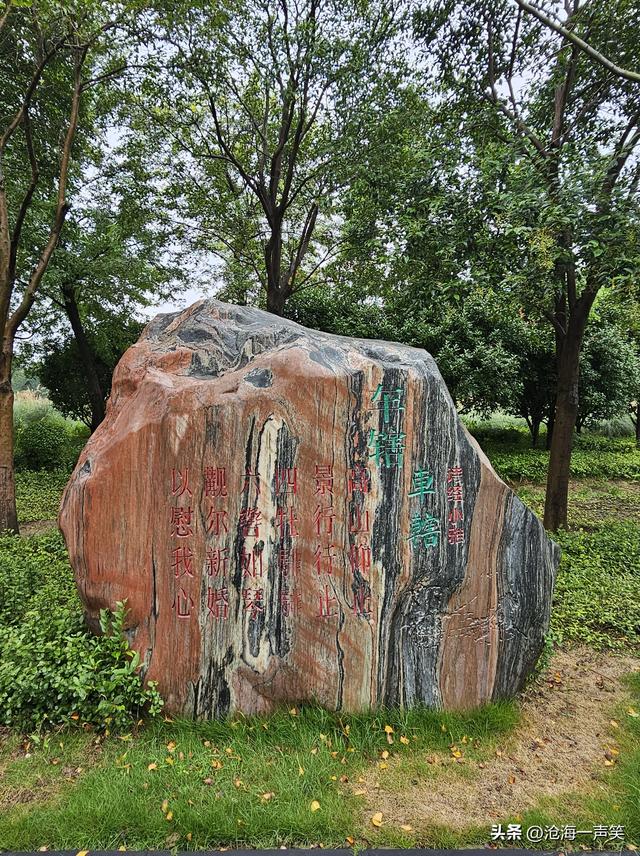 雨景，风景，路景，树景，一路风景，一路顺风，一路畅通！