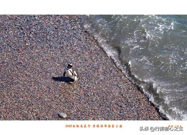 南极南美三国行游影记（79）—阿根廷旁塔汤布国家公园（六）