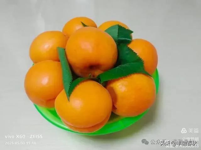 申艳娟｜北京宽沟会议中心：京郊的宁静桃源
