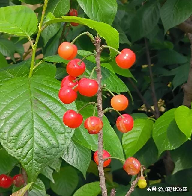 余姚慈溪五日休闲游