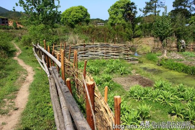 我的乐安流坑古村“寻古”之旅[八]（江西之旅第七十八篇）