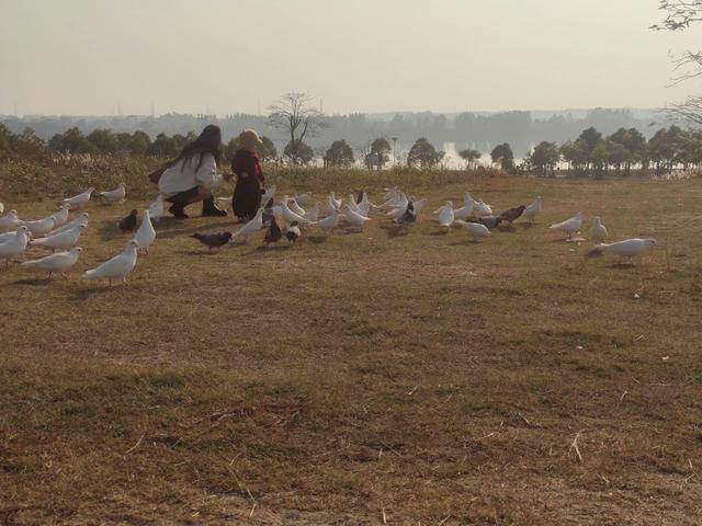 我花 700 多买了一二手「小众手机」,却学会了「放下手机」