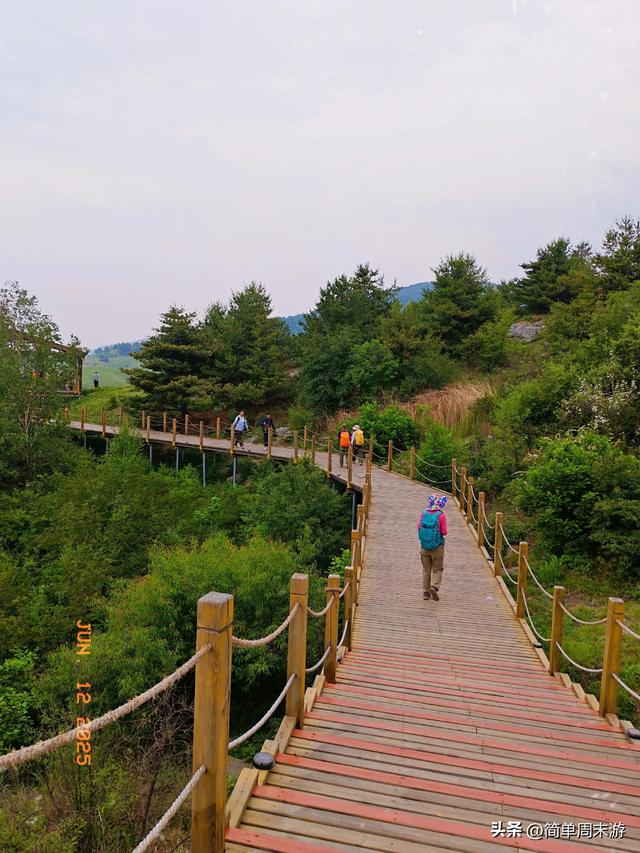 7）山西阳城析城山圣王坪，在云端草甸邂逅狼毒花的美，与千年传