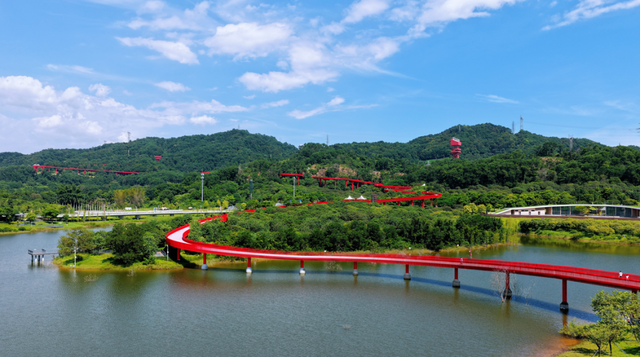 外交部发言人毛宁点赞！虹桥公园火到海外啦！