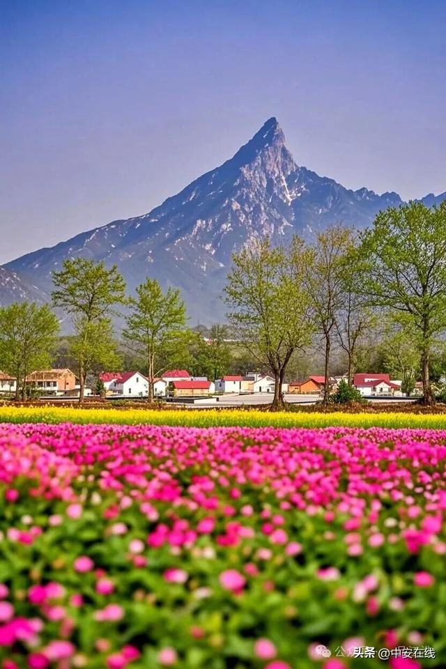 乡愁记 | 轮转三重赋：茶香、骑影与乡村觉醒