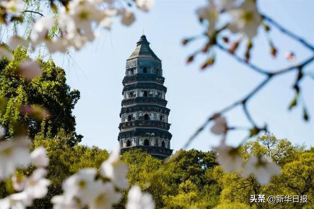 因运而兴，城河共生：苏州与大运河的“双向奔赴”