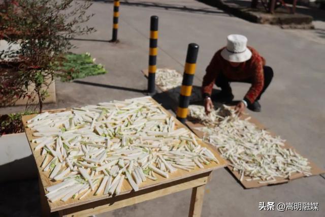 旅居云南·入昆第一站丨来嵩明 享好天气