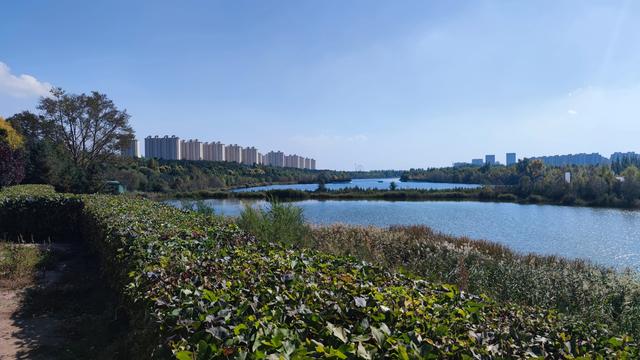 乌兰察布霸王河大桥两岸，河水缓缓流淌，两岸绿树成荫，空气清新