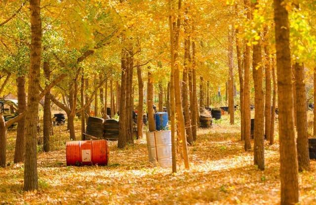 一眼惊艳！烟台这座小城最近太火了