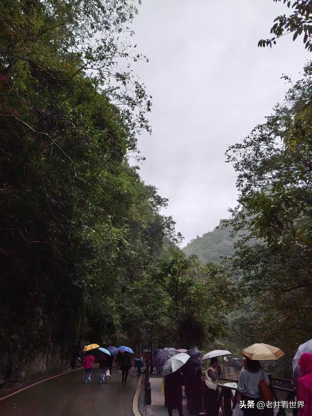 赞小七孔 || 乐山乐水