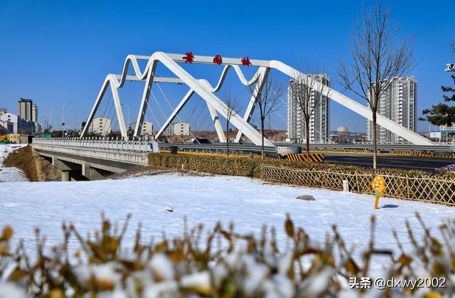 山西陵川雪后现雾凇美景