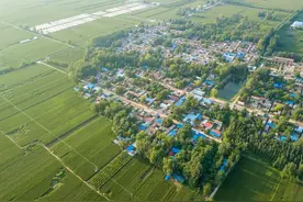 河南省的基督教为什么这么多？图片