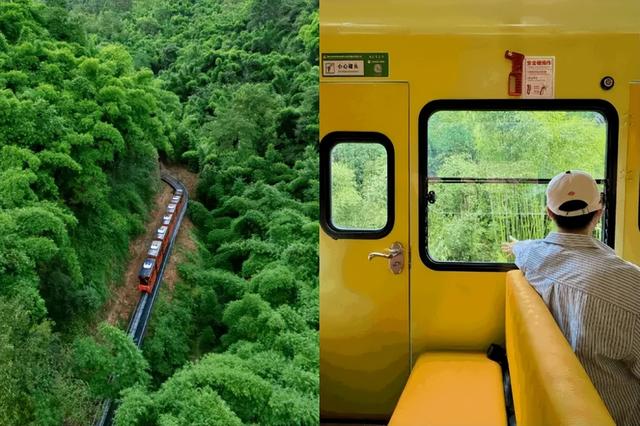 在竹尖上飞行！全网最全尖叫玩法攻略！