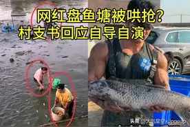 反转！网红盘鱼塘被哄抢后续，村支书称自导自演，网友：越描越黑图片