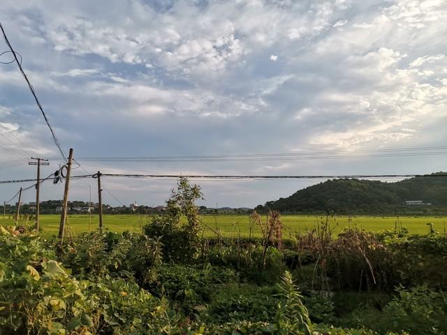 我给嫂子送孩子衣服，她刚出浴围着浴巾，红着脸让我进去喝水