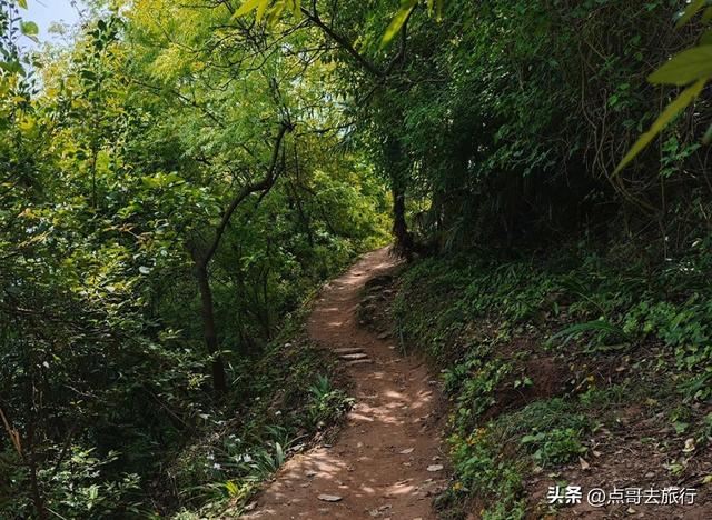 成都黄金徒步路线，公交直达起点，一处比一处惊艳，都不要门票！