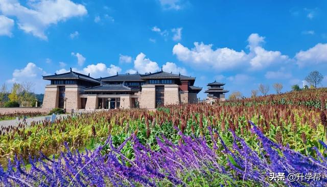 喜讯!瞿上田园正式获评国家3A级旅游景区!