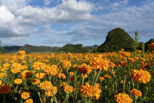 两性关系：年过68岁，不管身体多好，也要注意这5个活细节