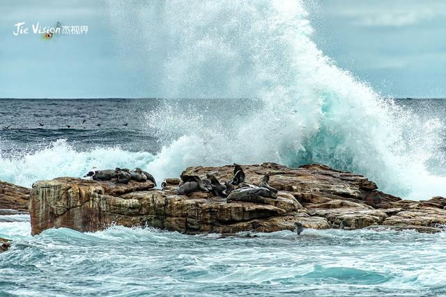 社死瞬间！我成了好望角最大显眼包 难道我的地理课本是盗版？