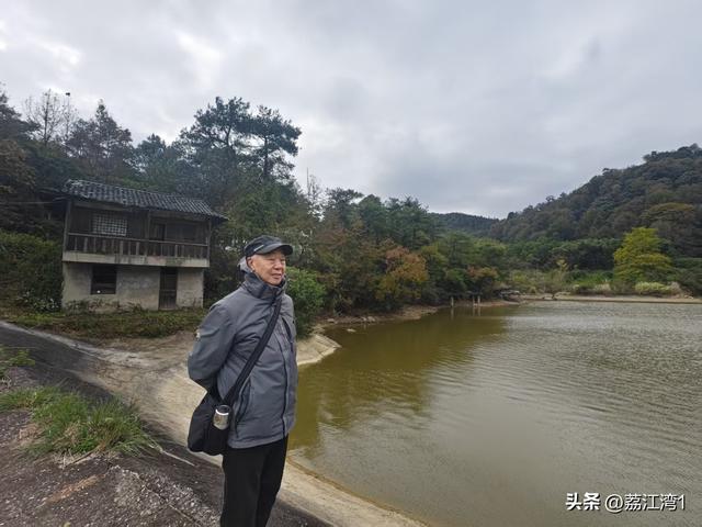 游长岗岭古村，观飘黄银杏