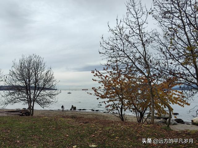 温哥华游记（五）