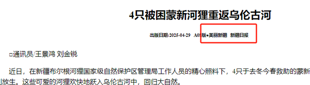 国内仅存800多只！为提供栖息地，新疆花5年种树100万棵