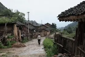 国庆假期，我回了一趟老家，看到院子和家乡的一切，我泪流满面！图片