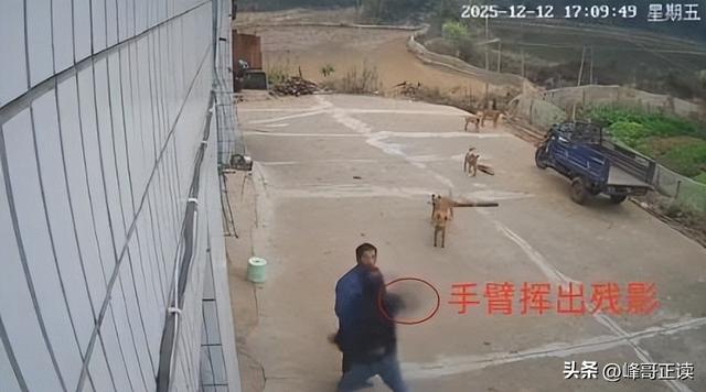 真刑！江西男子被邻居殴打，政府介入，鉴定结果已出，人善被人欺