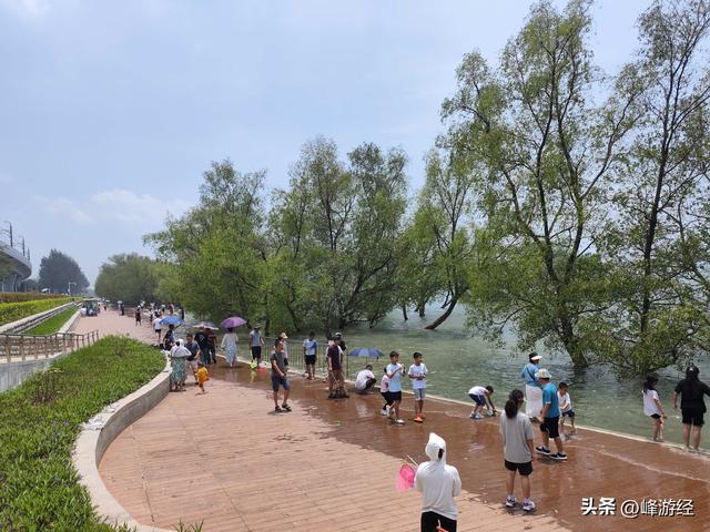 趁节假日免费，体验深中通道，羊毛薅了一半便被堵在路上