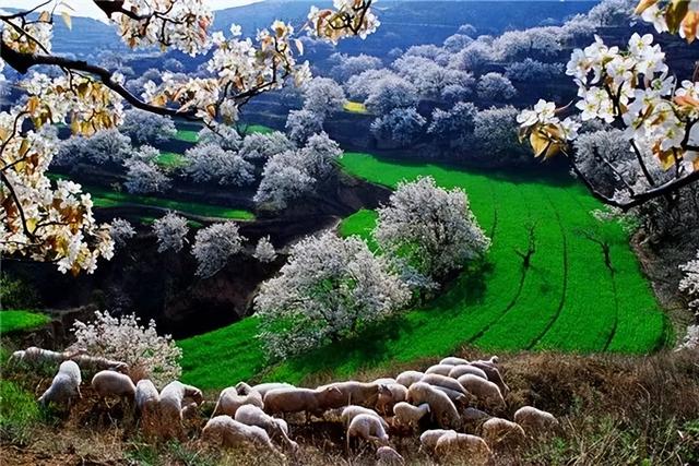 不止江湖恩怨！金庸为运城定制的旅游线，藏着中式浪漫