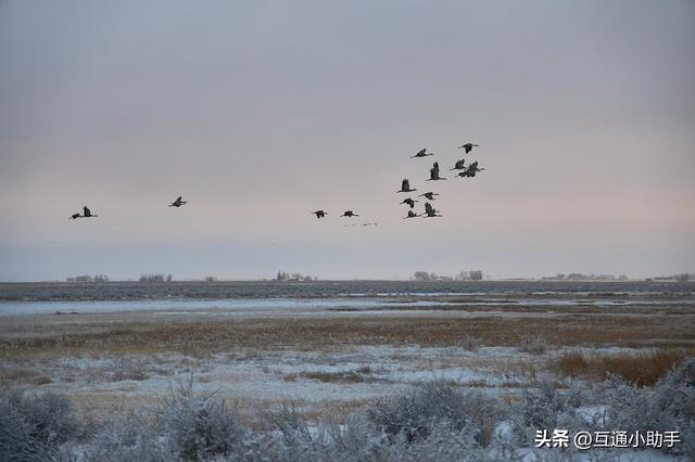 佳能的“标志性套头”——RF 24-105mm f/4L IS USM 镜头评测
