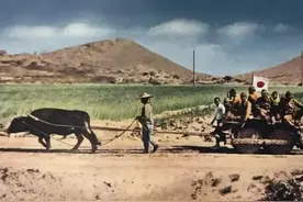 1938年，日军攻陷河南商丘，并且在当地，拍摄了22张照片！图片