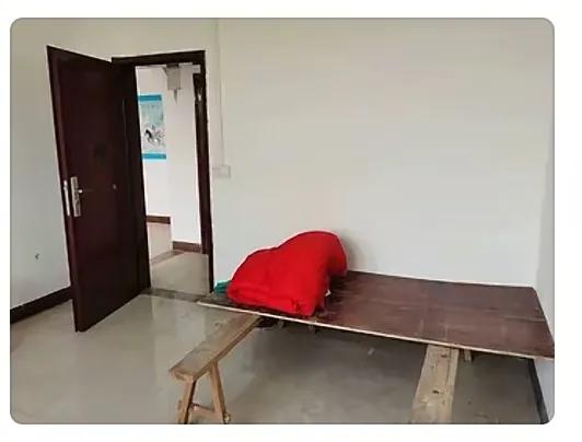 笑麻了，两广地区的催婚方式真硬核啊，网友：卧室堪比陋室铭