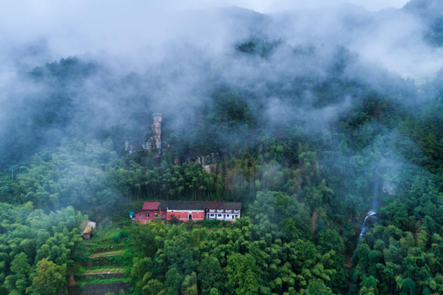春游江淮丨在安庆的紫云英花海，把幸福开满春天