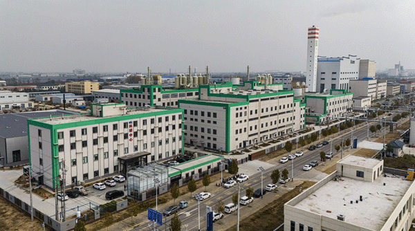 大美大荔，从“起势”到“腾飞”——“十四五”大荔县经济社会高质量发展纵览