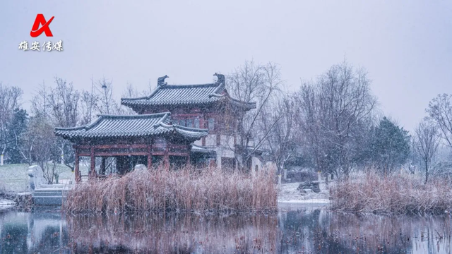 雪后雄安别样美