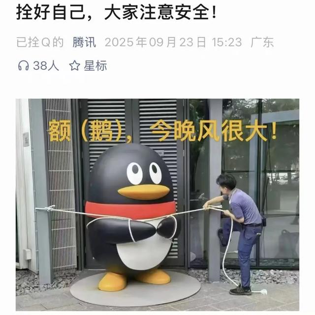 “拴Q”被台风吹走了？最新消息