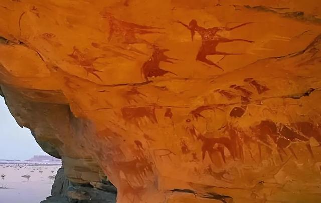 妈妈的随居生活