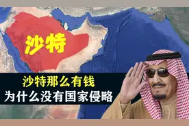 中东土豪沙特那么有钱，为什么没有国家去侵略他们？图片