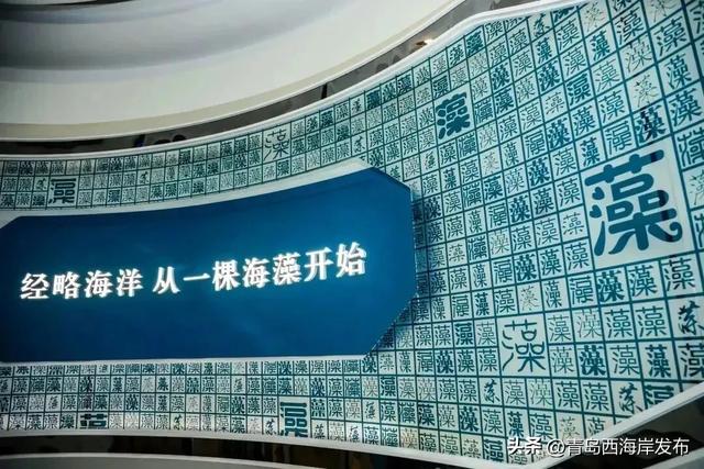 “冬游西海岸”！5条热门线路等你来🤩